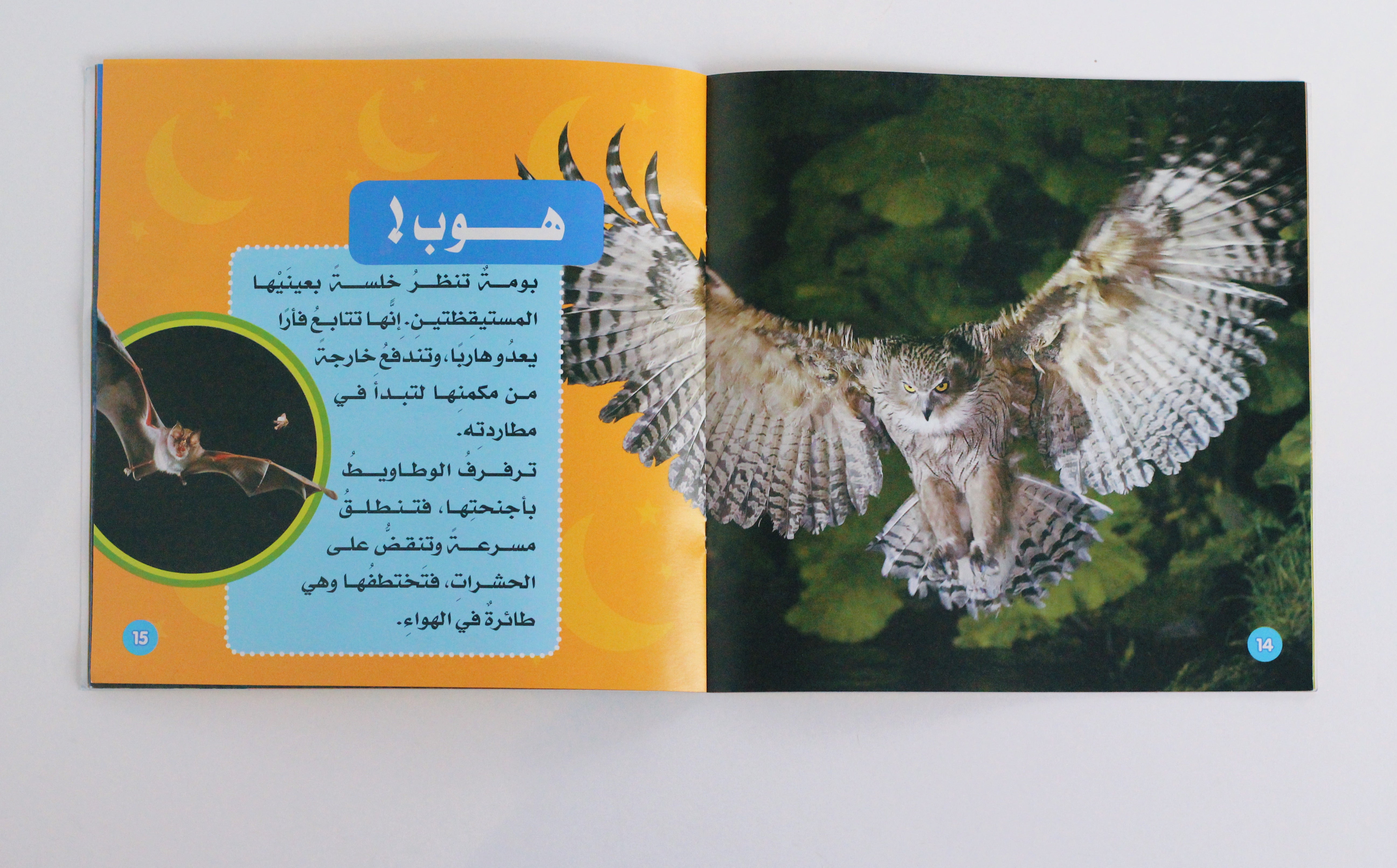 الليل | سلسلة استكشف العالم