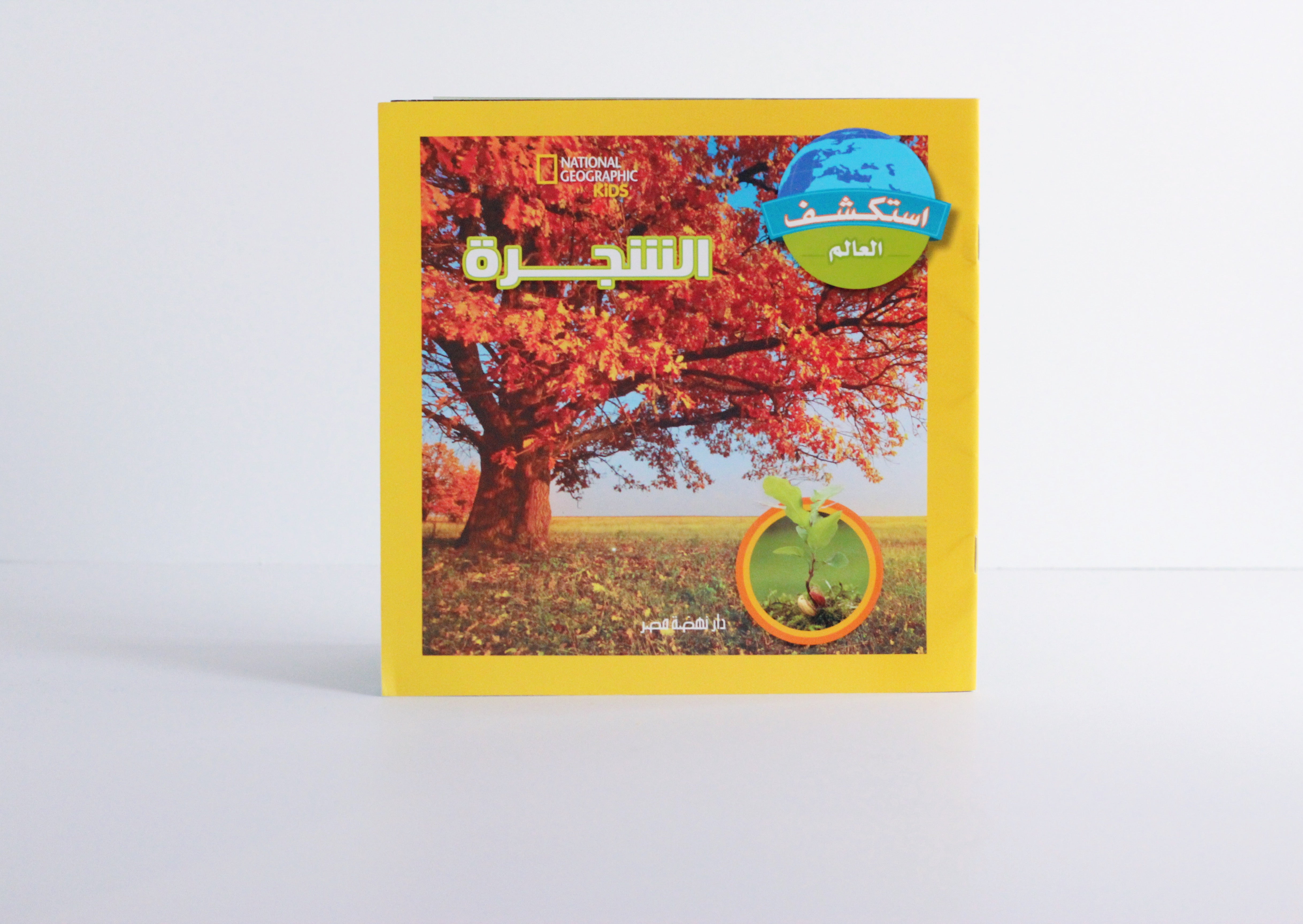 الشجرة | سلسلة استكشف العالم