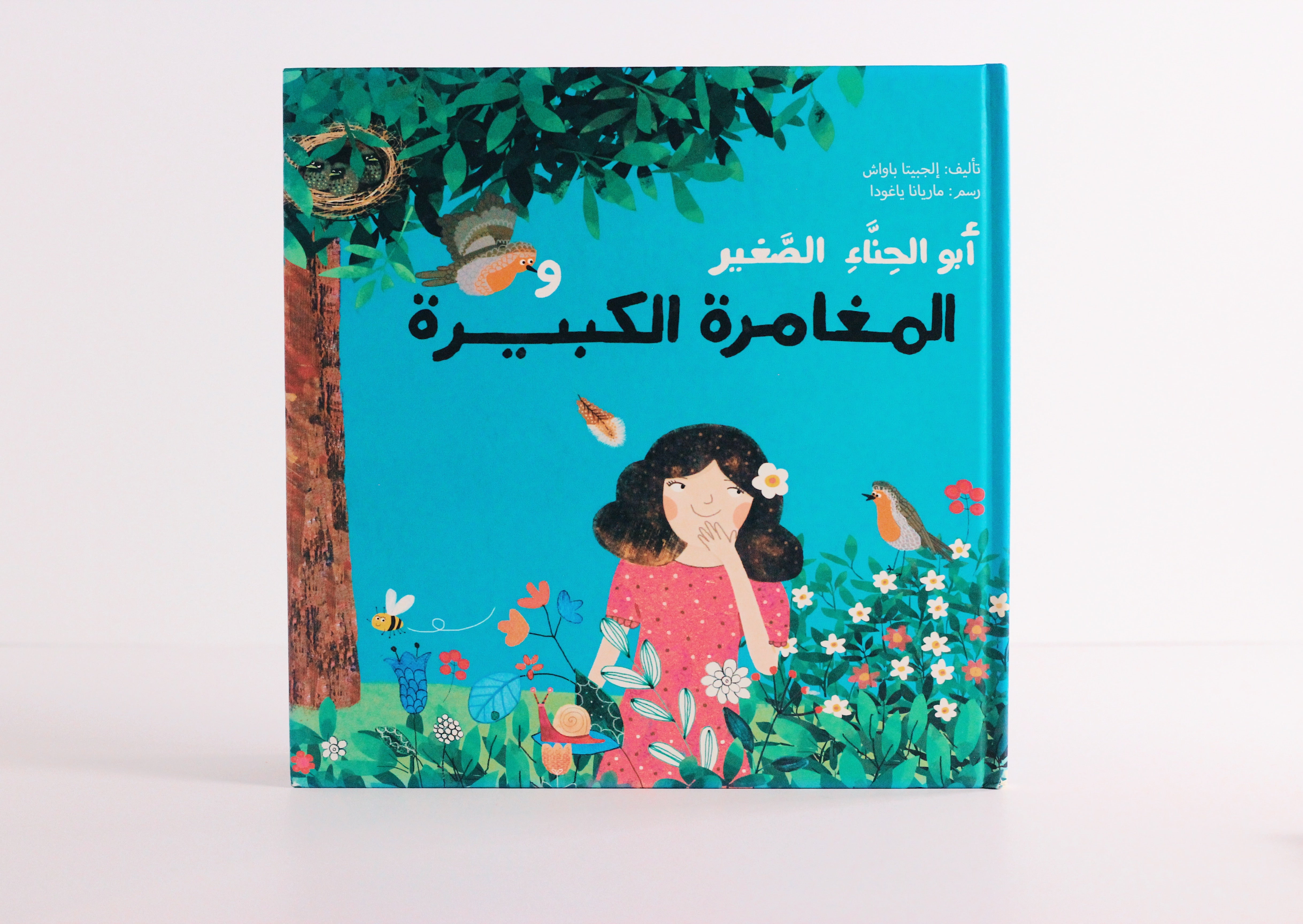 أبو الحناء الصغير والمغامرة الكبيرة