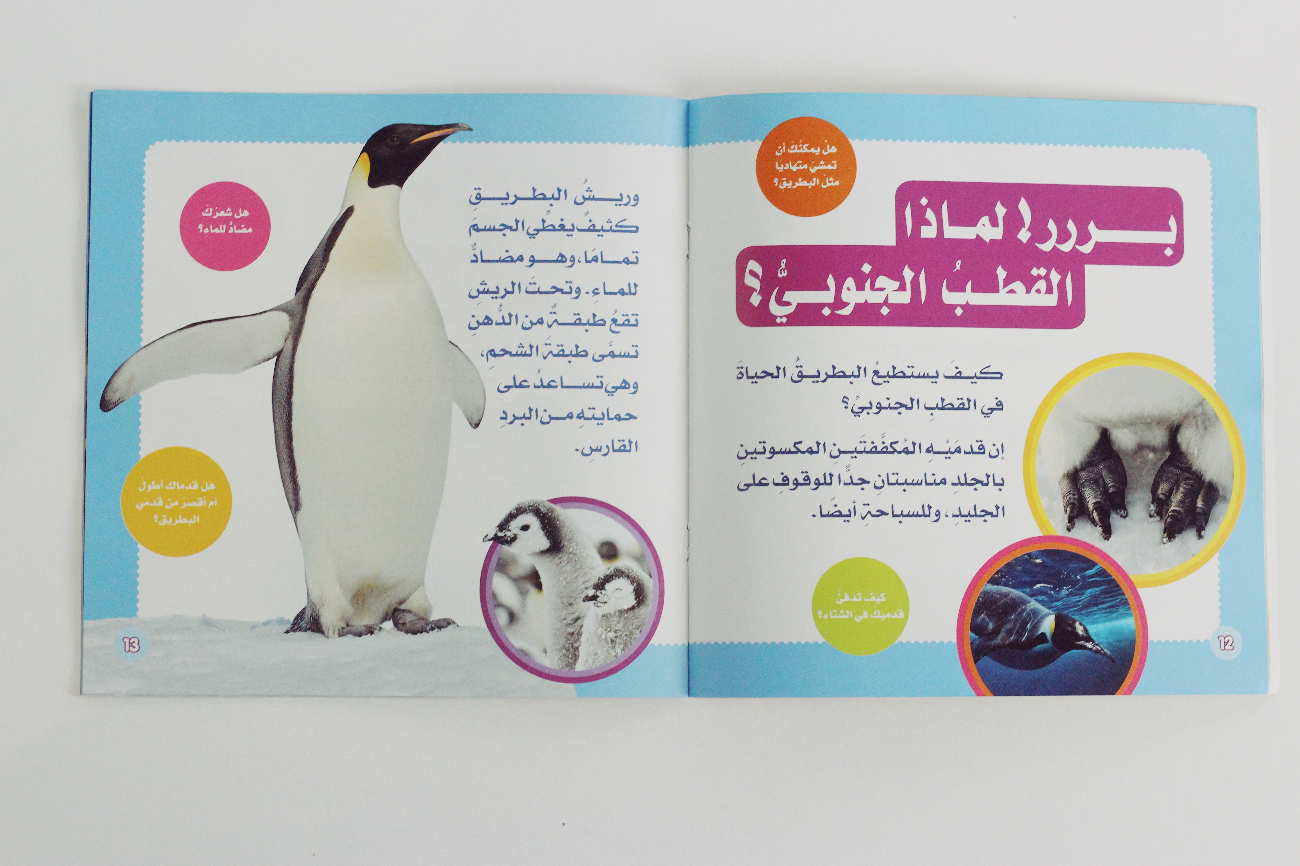 سلسلة استكشف العالم | طيور البطريق