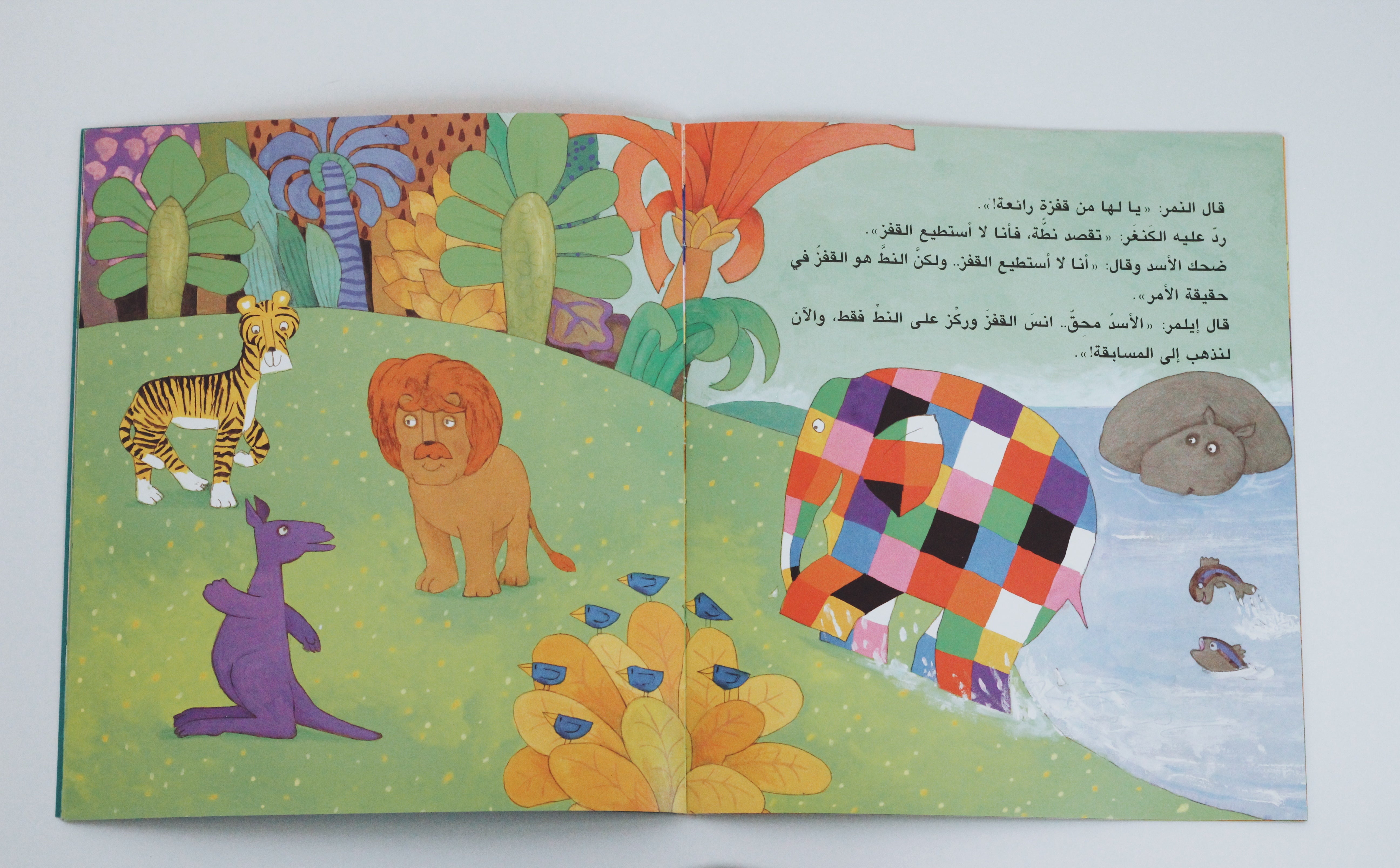 إيلمر والغريب