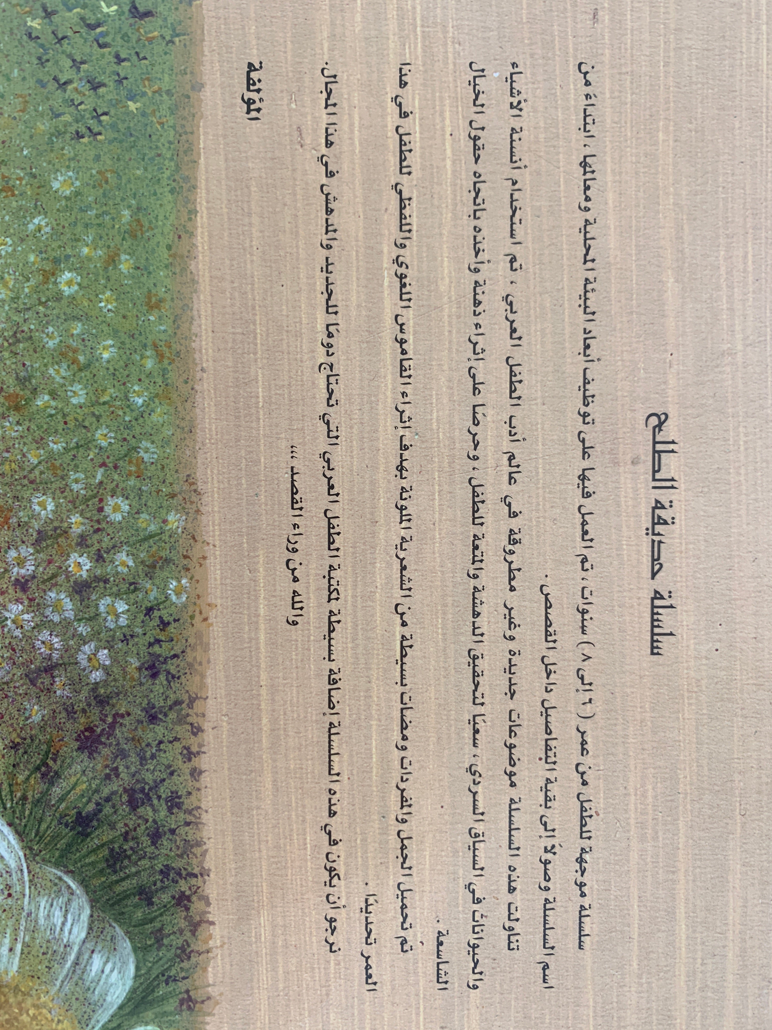 وضحى الفراشه الصحراويه