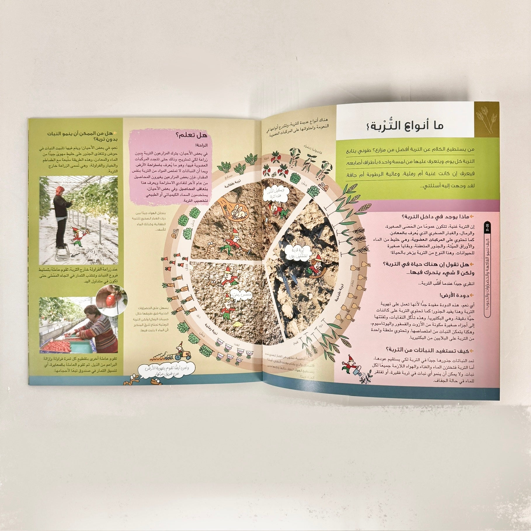 كيف تنمو الفاكهة والخضروات والحبوب؟