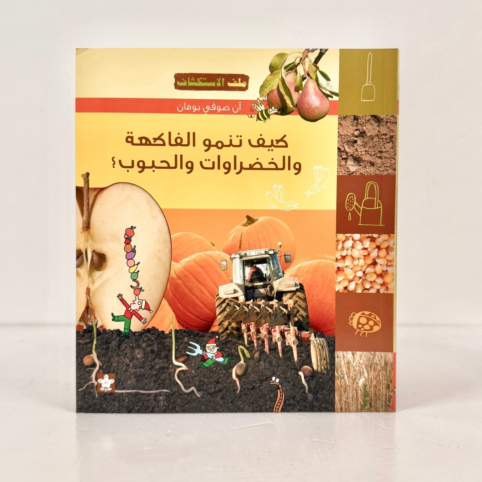 كيف تنمو الفاكهة والخضروات والحبوب؟