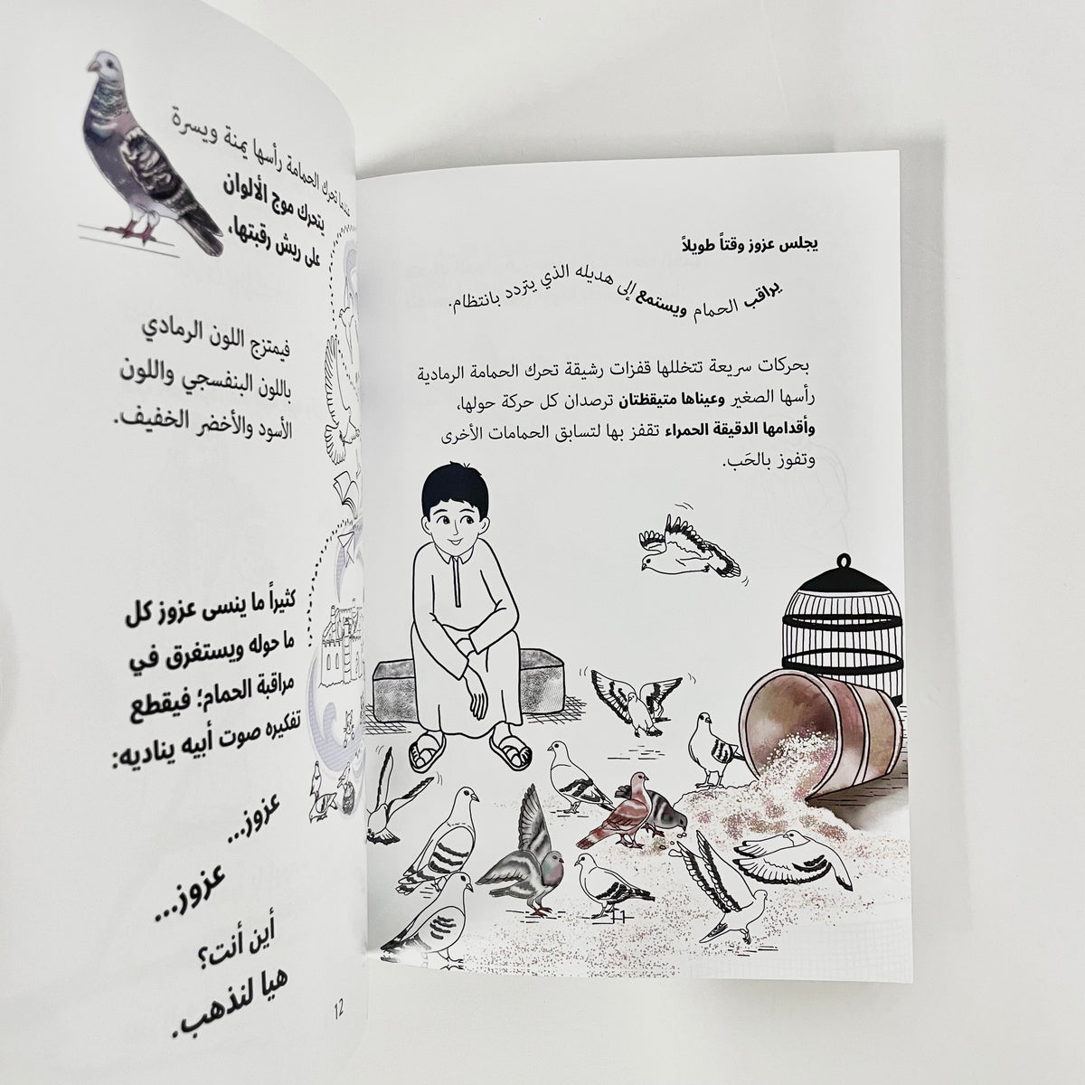 الحمام والأحلام