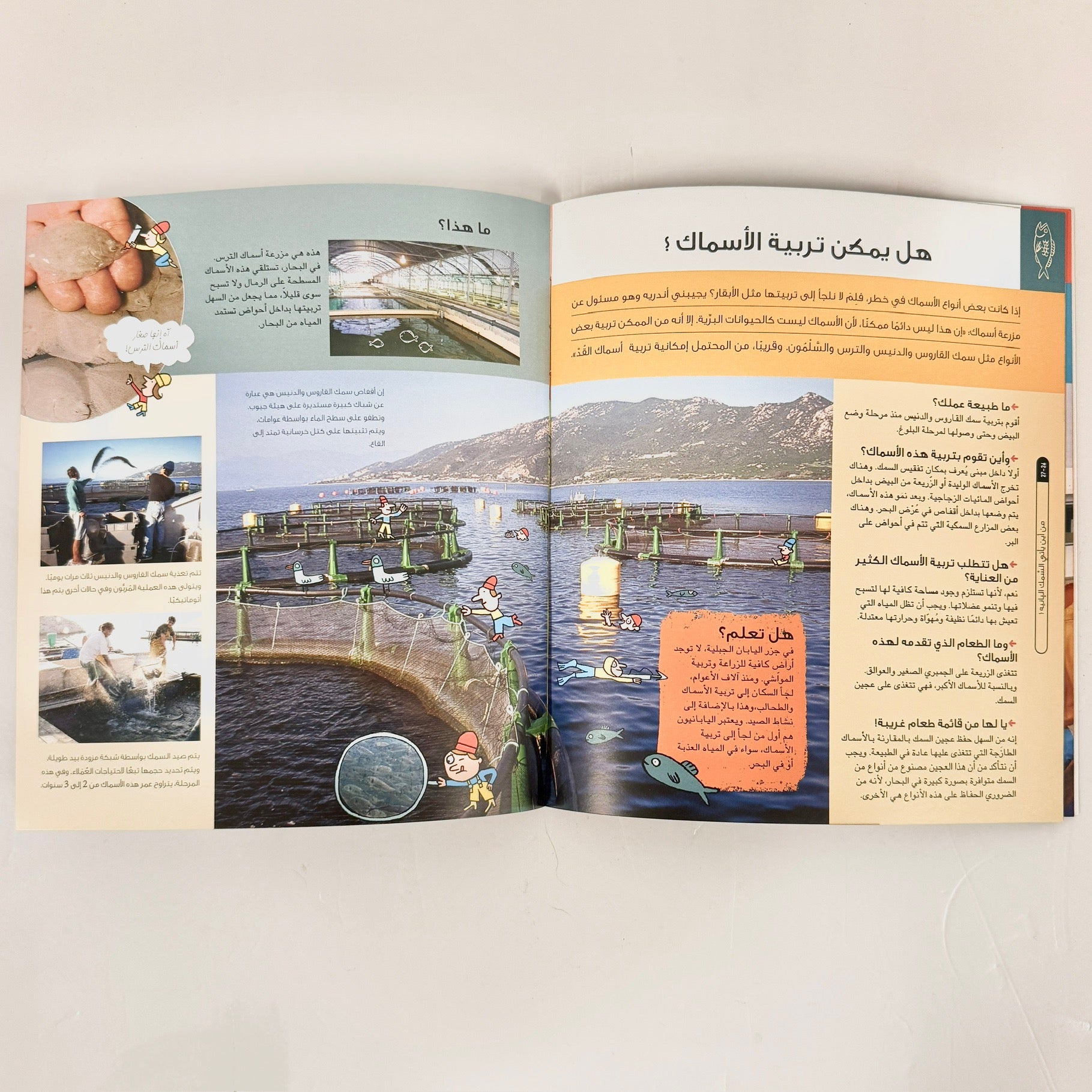 من أين يأتى السمك البانيه؟