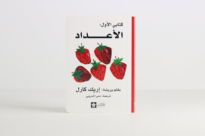 سلسلة كتابي الأول | إريك كارل