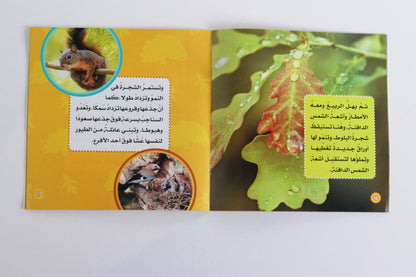 الشجرة | سلسلة استكشف العالم